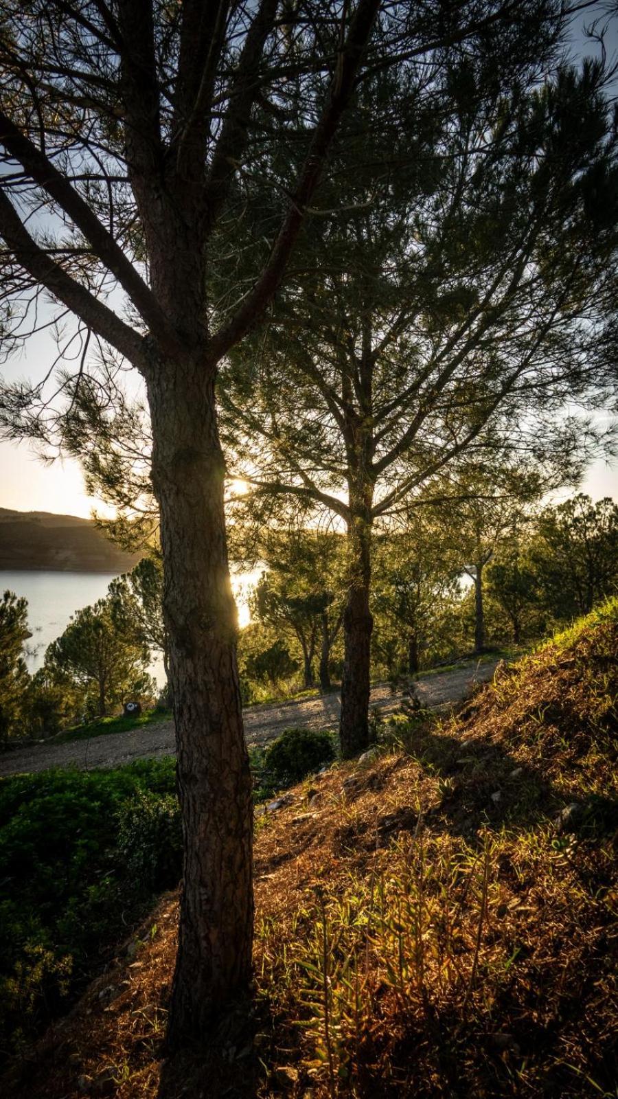 Poioruivo Villa Santa Clara a Velha Bagian luar foto