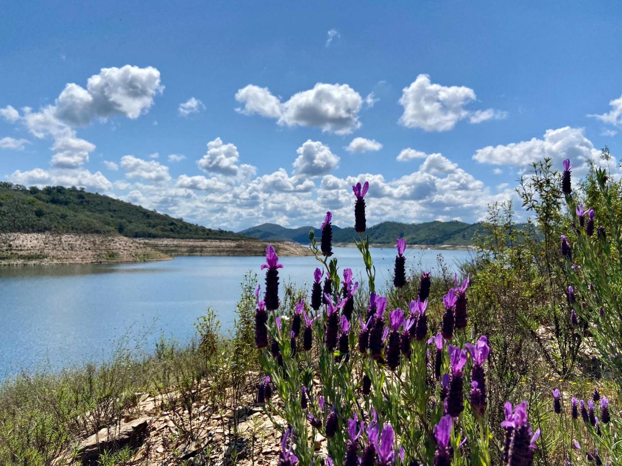 Poioruivo Villa Santa Clara a Velha Bagian luar foto