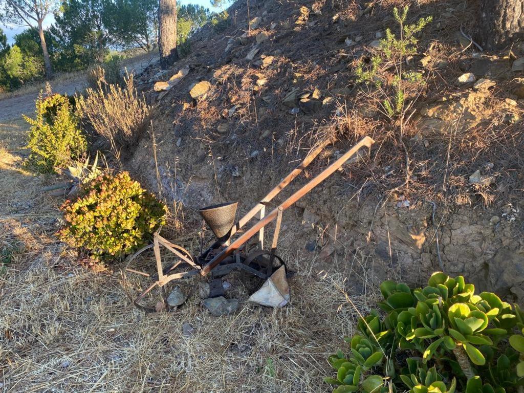 Poioruivo Villa Santa Clara a Velha Bagian luar foto